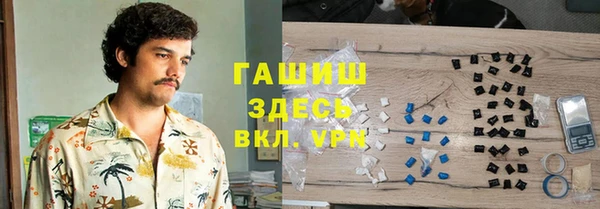 индика Нефтегорск