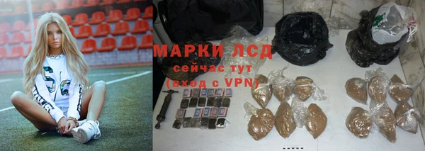 ПСИЛОЦИБИНОВЫЕ ГРИБЫ Алексеевка